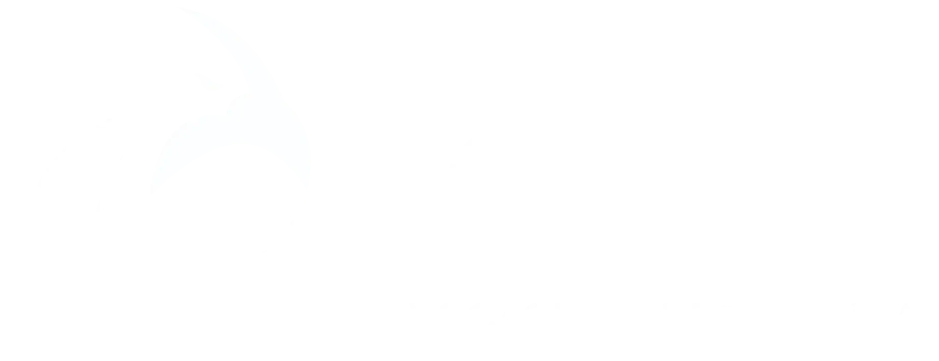 Ozon & Tommasi
